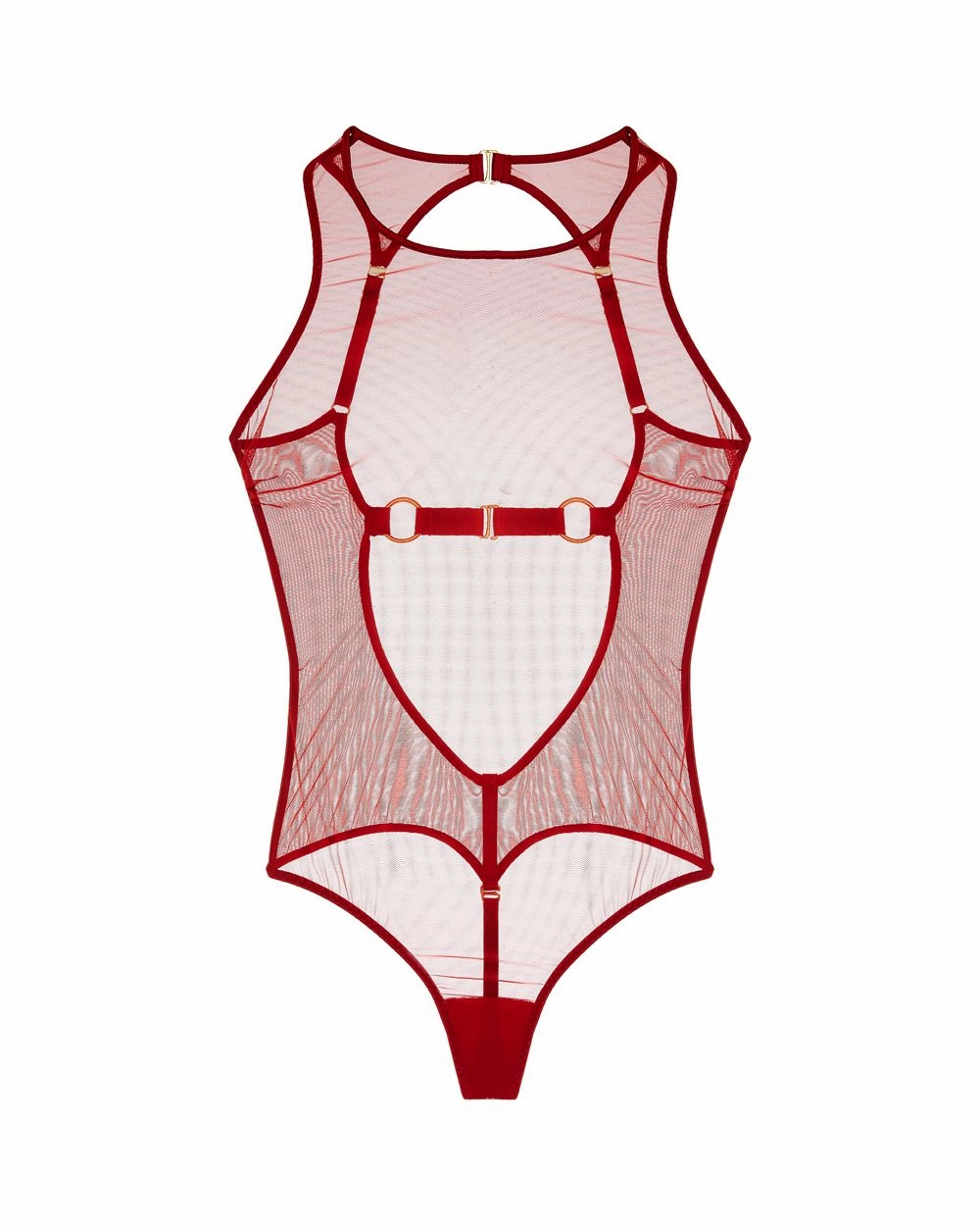10 Year Exclusive Body