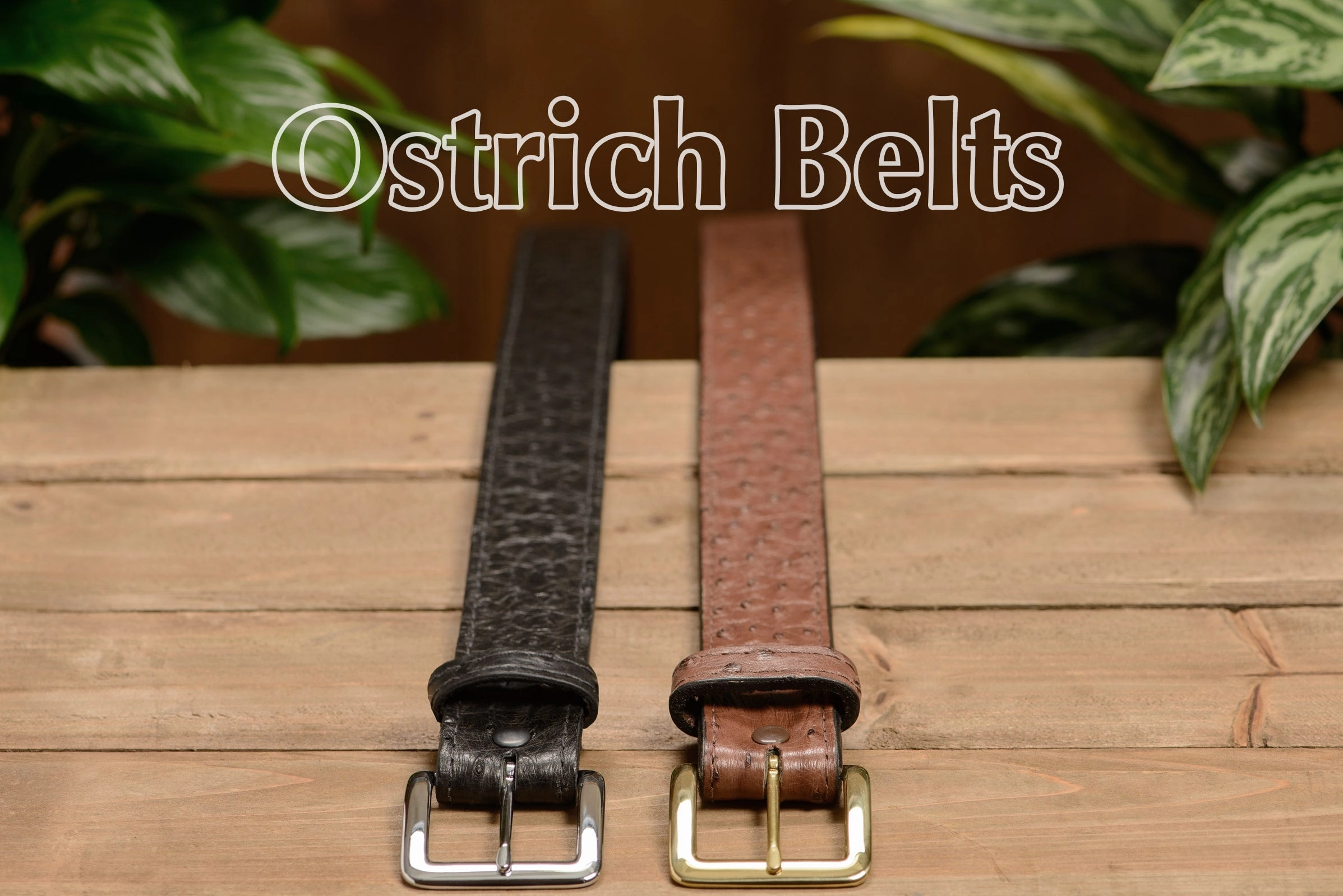 Black South African Ostrich Skin Money Belt With 25" Zipper 1.50" Wide