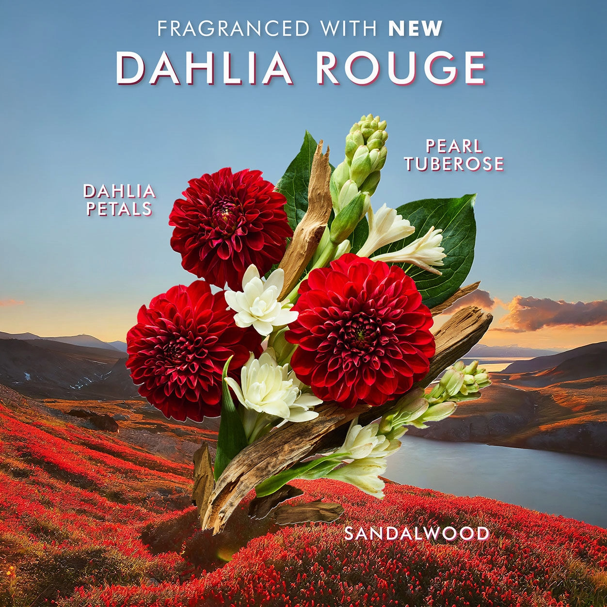 Dahlia Rouge Hand Cream