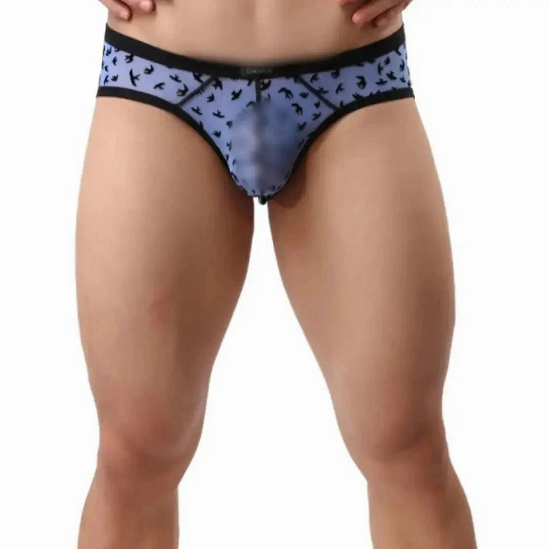 DomiGe Men's Mesh Briefs with Velvet Flocking & Sheer Design | Luxe Support