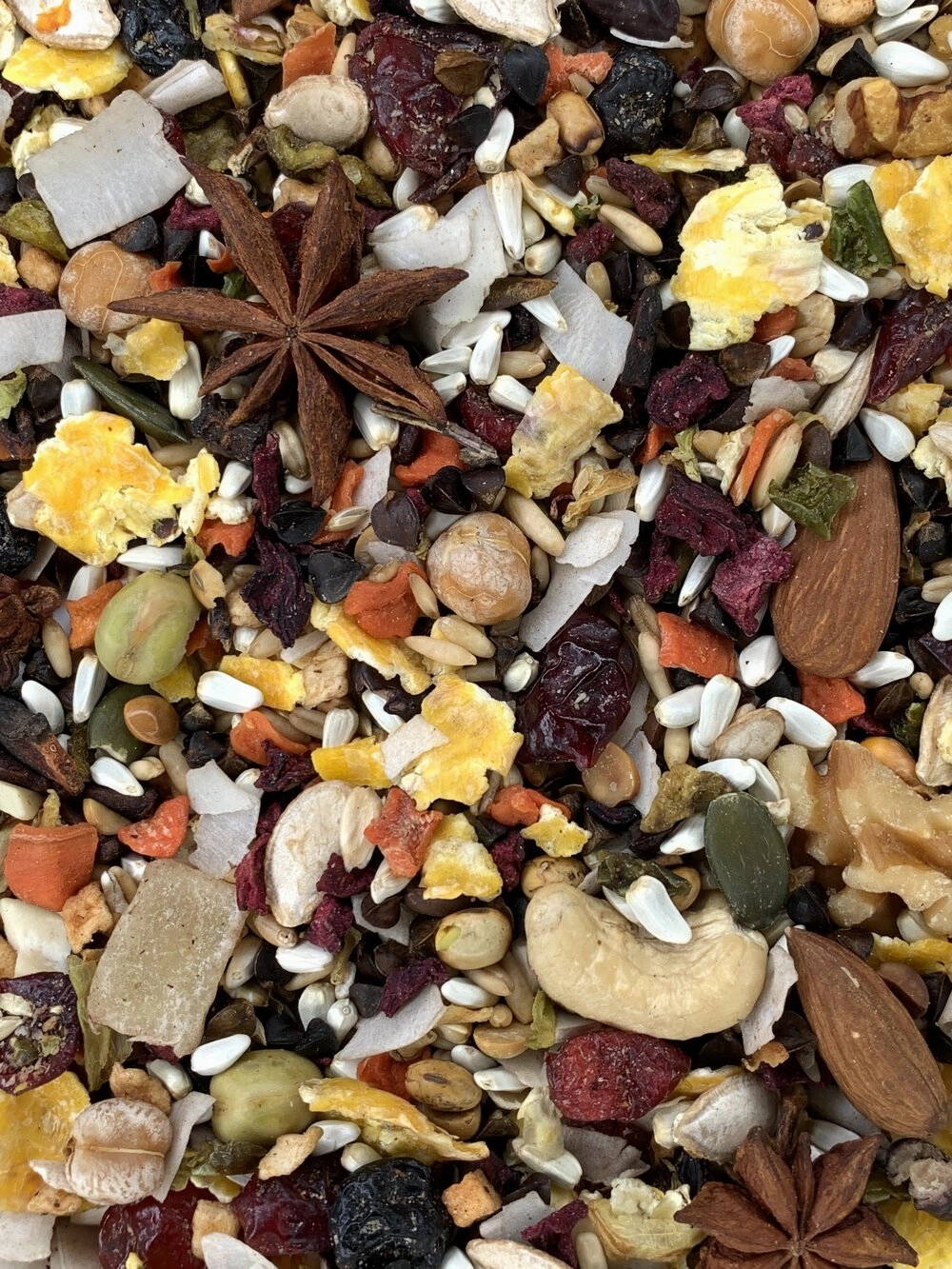 Goldenfeast Central American Blend Bird Food for Conures, Cockatiels & Medium to Large Birds