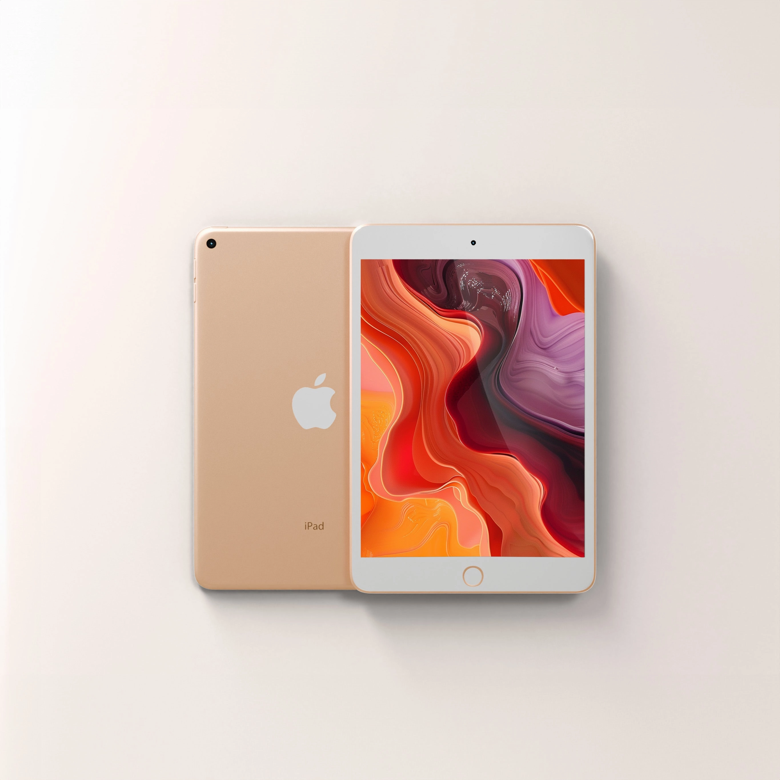 iPad Mini 5 256GB WiFi   4G LTE (Unlocked)