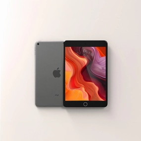 iPad Mini 5 256GB WiFi   4G LTE (Unlocked)