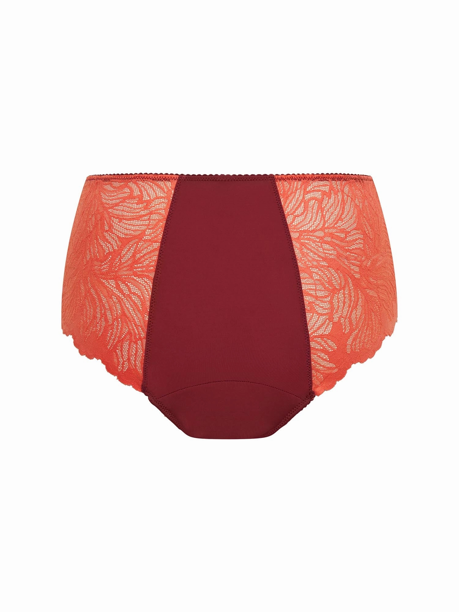 Manon Hi Waist Brief Moderate Bordeaux Red