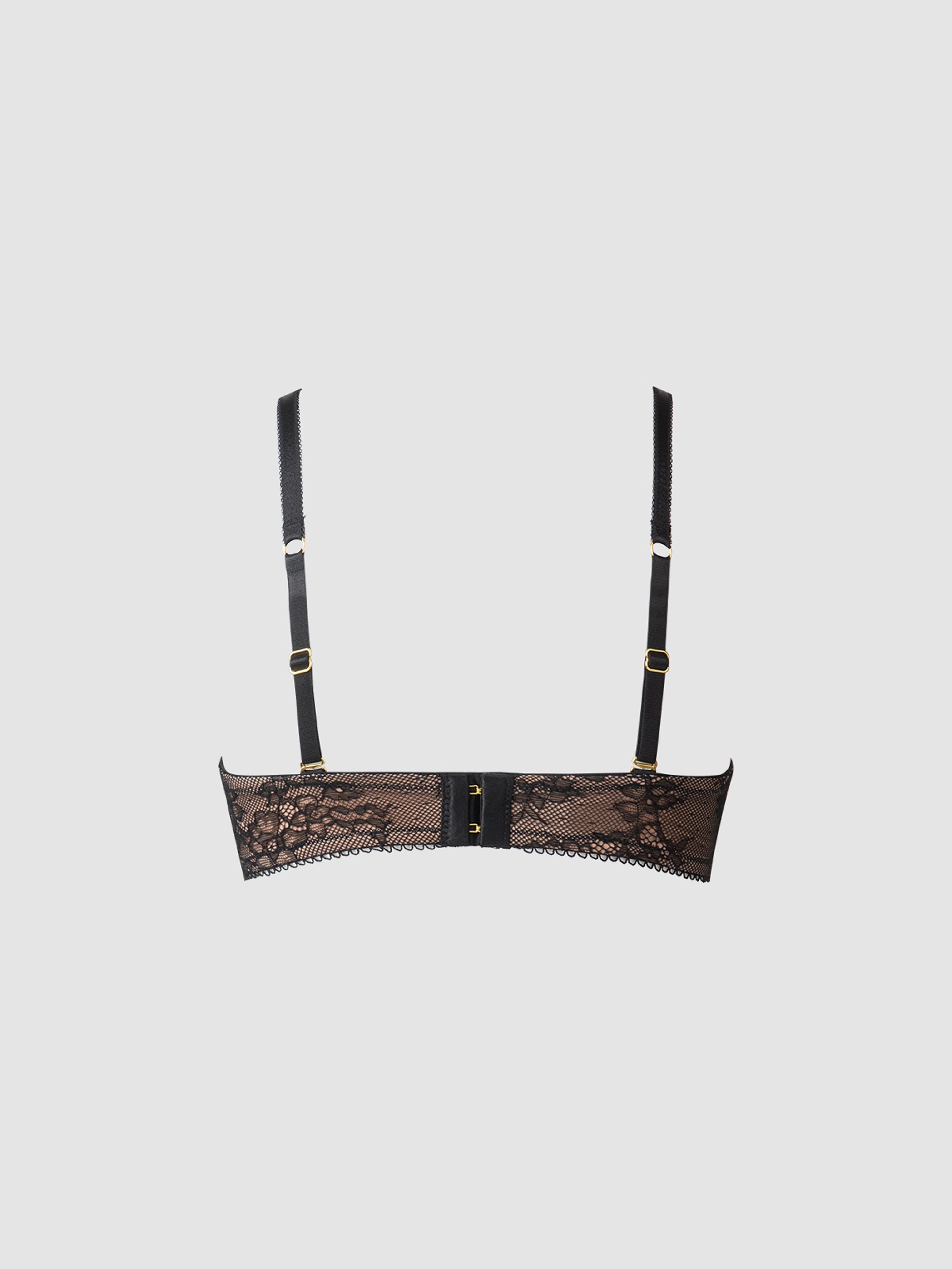 Rising Star Plunge Push up Bra in Luella Lace