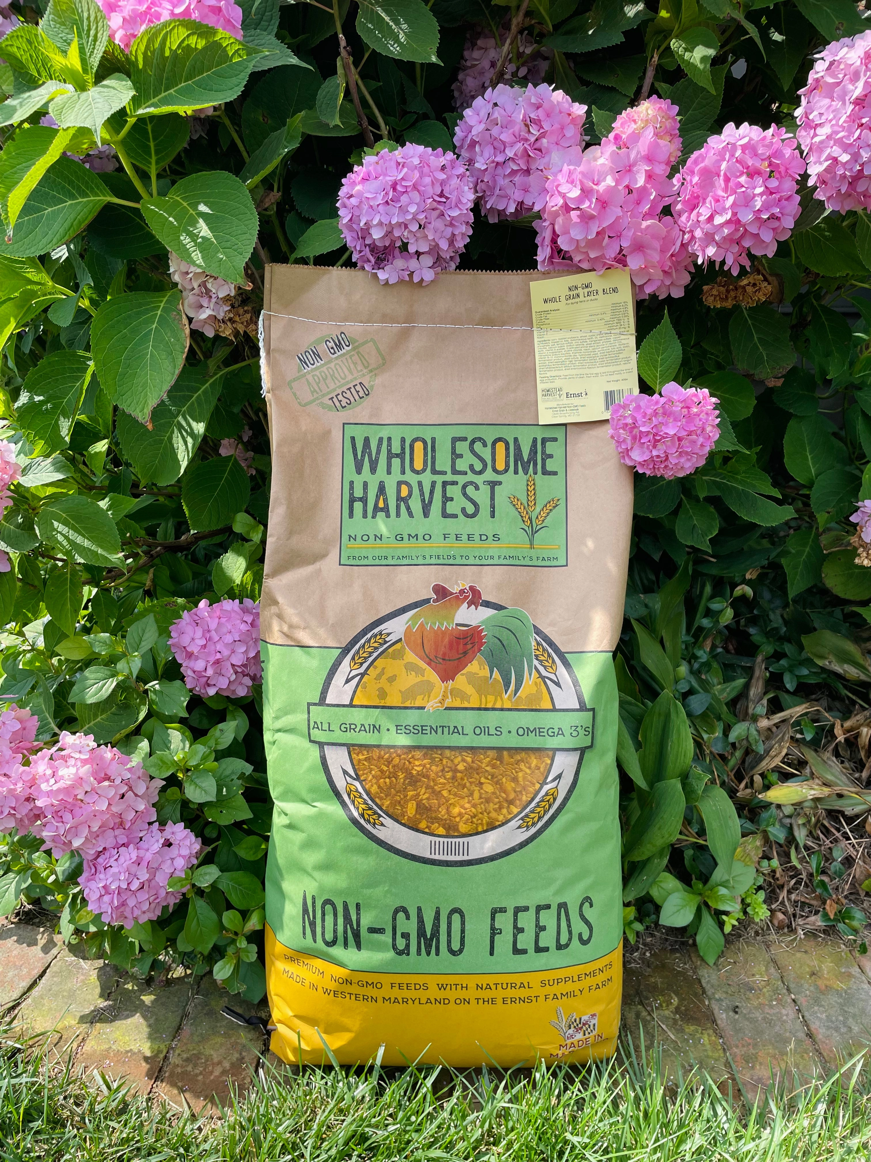 Wholesome Harvest Non-GMO Soy-Free Pastured Poultry Grower 19% For growing chickens or ducks